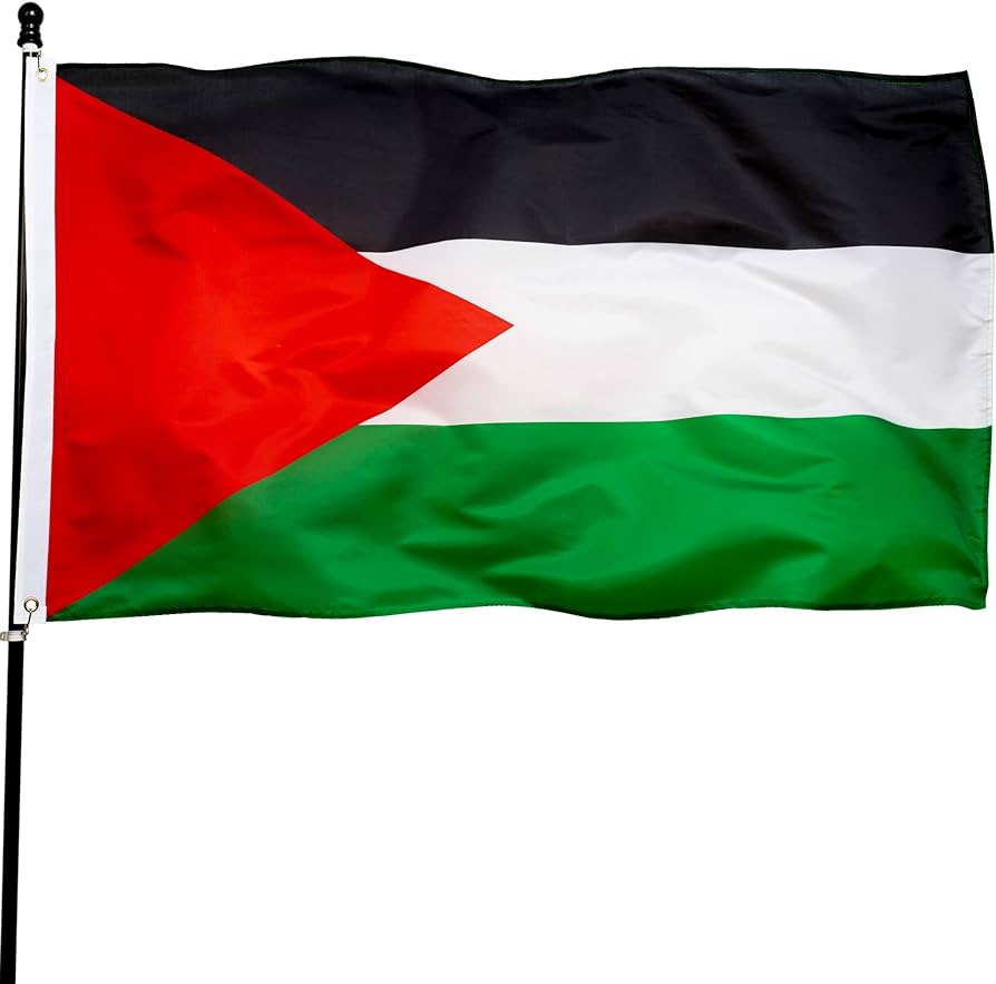 Palestine Flag (3x5 feet)