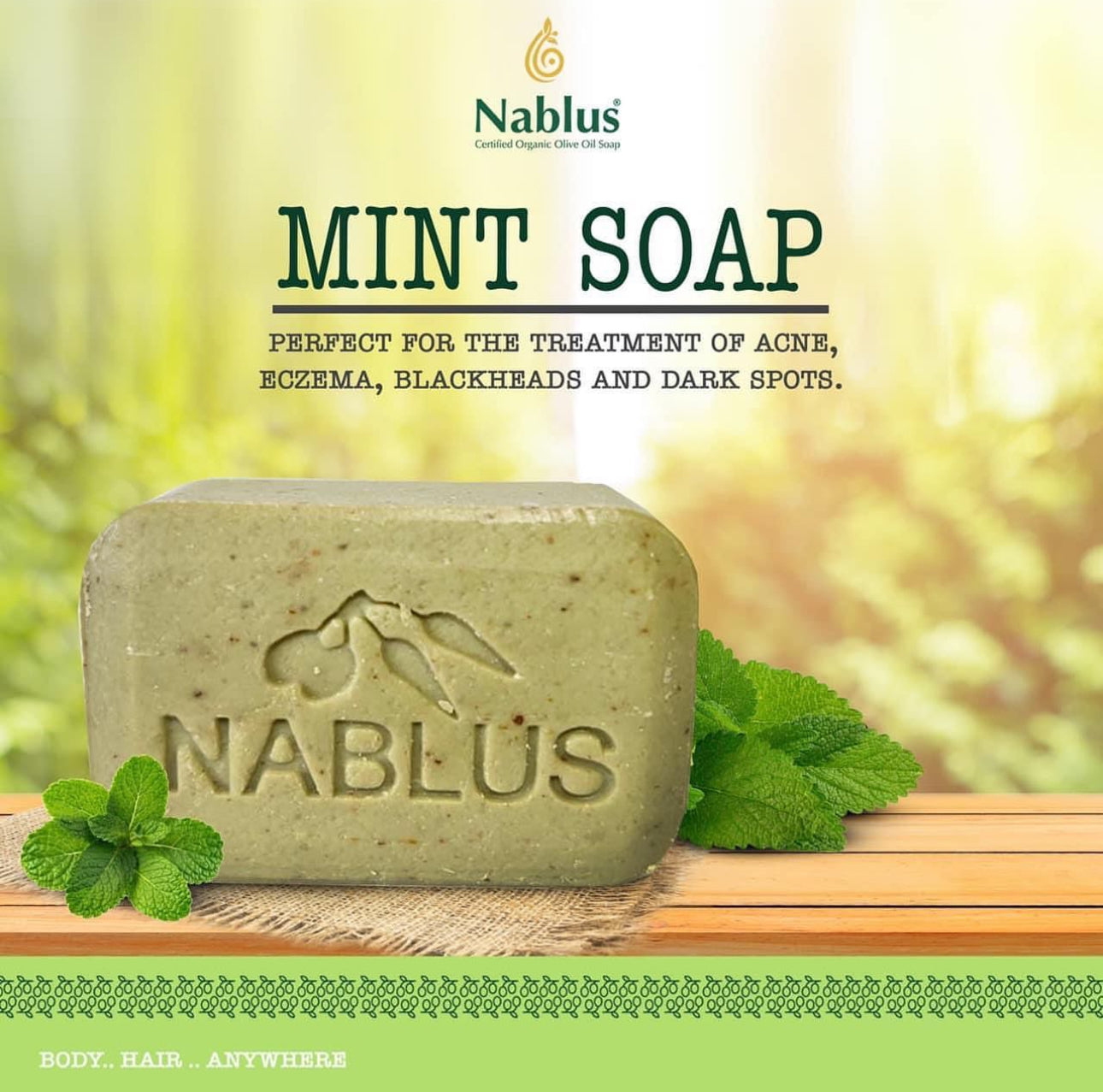 Organic Nablus Olive Oil Soap: Mint
